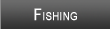 Falls Lake Fishing